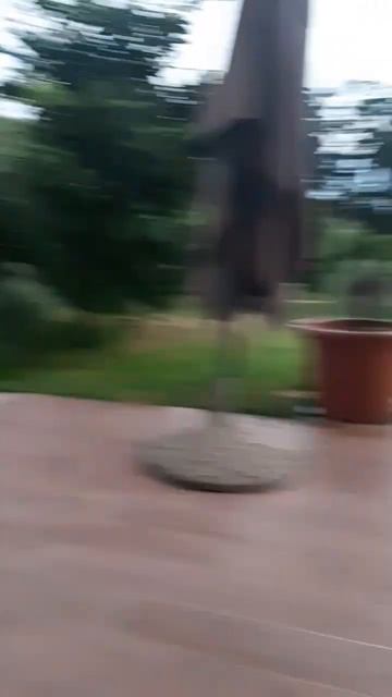 Я сейчас живу в Словении такие виды у меня с балкона и в саду смотреть онлайн