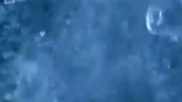 t.A.T.u. Не верь, не бойся, не проси смотреть онлайн