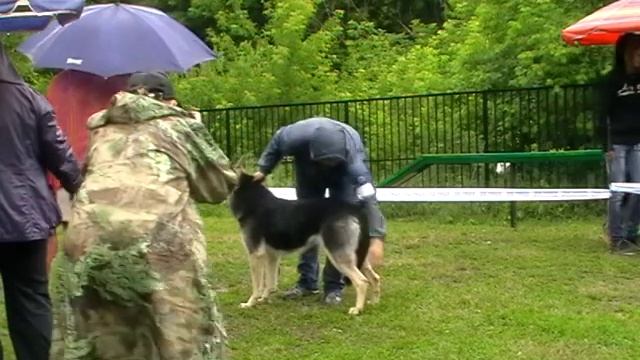 Л Ирэн смотреть онлайн