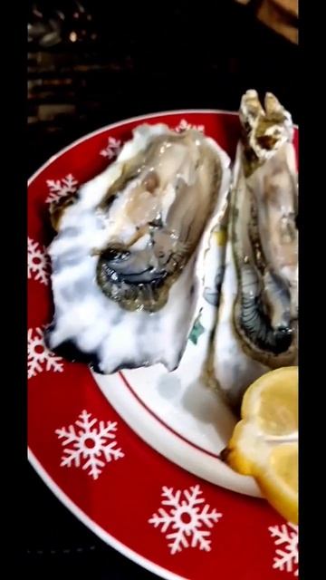 #устрицы смотреть онлайн