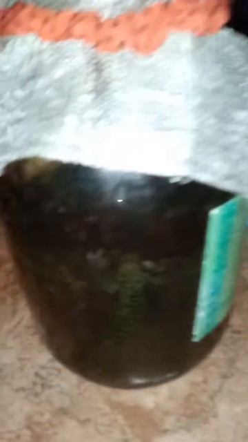 Ёжик Вася смотреть онлайн