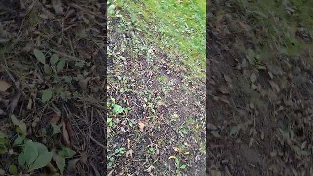 тихая охота на крышки смотреть онлайн