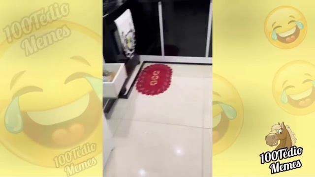 TENTE NÃO RIR - memes e VIDEOS ENGRAÇADOS 2024 - #206 #memes2024 #tentenaorir #videosengraçados смотреть онлайн