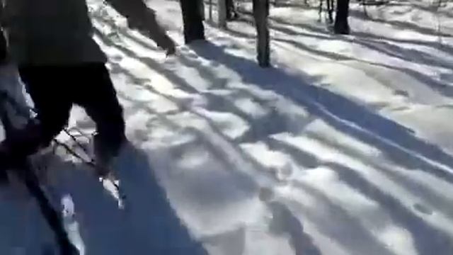 Добыча норки смотреть онлайн