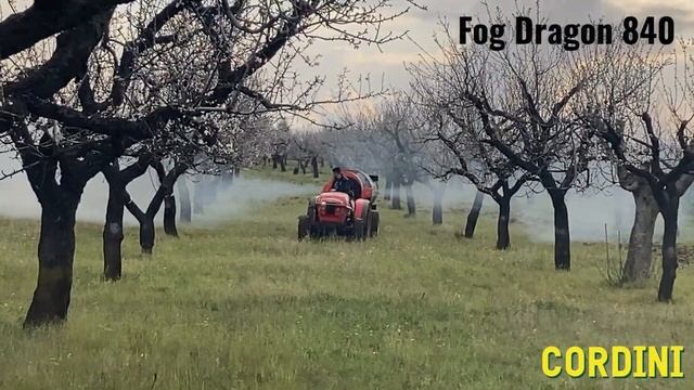 FOG DRAGON prova in campo смотреть онлайн