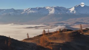 Наша Сибирь 4К: Осенняя Курайская долина