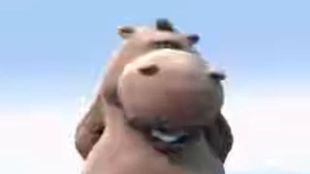 Hippo Song