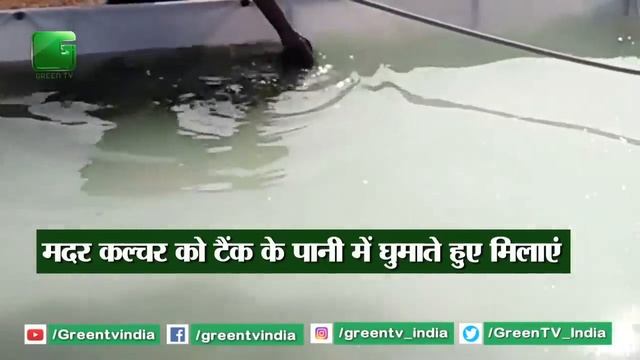 Kisan 100 Mtr क्षेत्र में इसकी खेती करके कमा सकते है 35,000 | Spirulina Cultivation смотреть онлайн