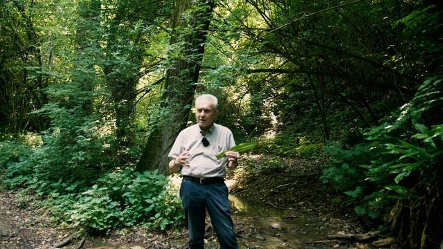 Il Ruscello : Gli ambienti della natura смотреть онлайн