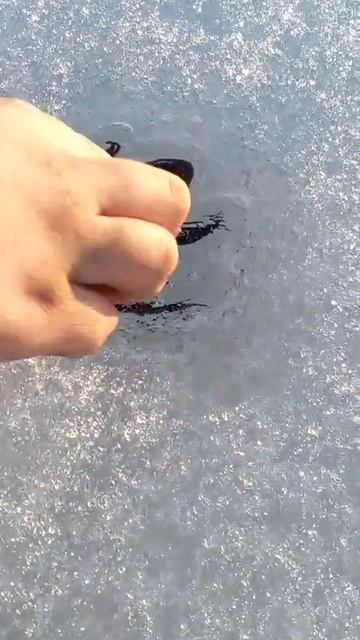 ЛЯГУШКА ВО ЛЬДУ!!! смотреть онлайн