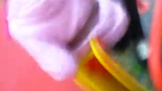 Снежана Арина пришли смешно ржи!