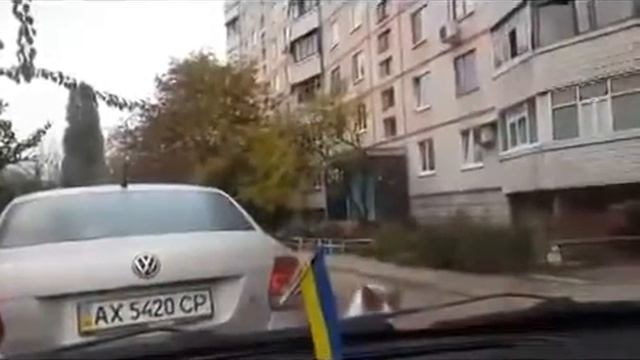 Кот атакует машину! Угар