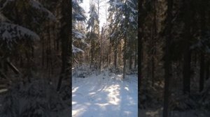 №71 Гармонизация пространств сознания