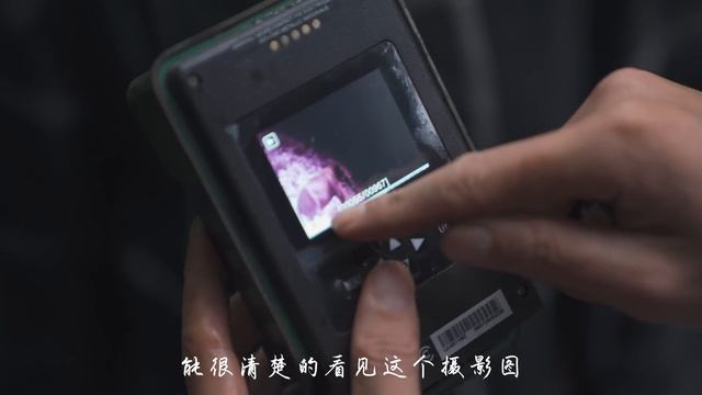 阿盆姐的Vlog｜探访云南西双版纳最后的野生亚洲象！【滇西小哥】
