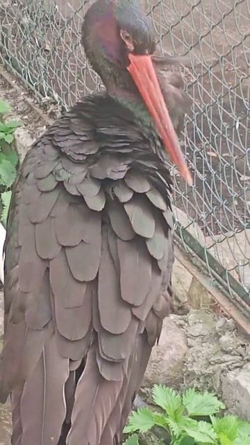 11 мая 2022 г. смотреть онлайн