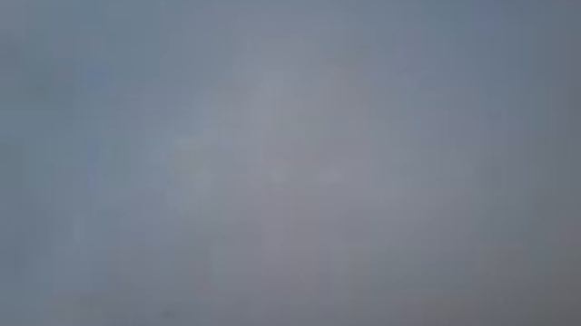 Разукрашеваем котов!напешите какая кошка лучше получилась смотреть онлайн