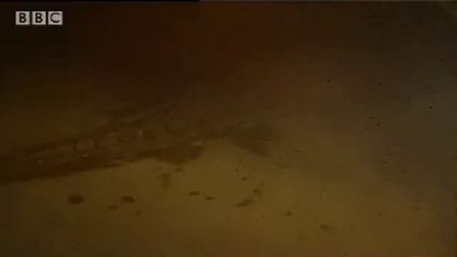 Armoured Catfish Living in the Amazon | BBC Studios смотреть онлайн