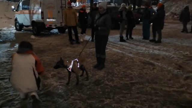 18.01.2023 Тренировки ПСС. Пирожок смотреть онлайн