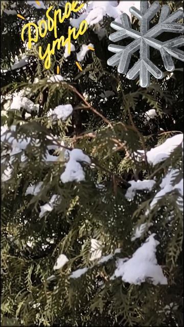 Зимние пейзажи.#утро смотреть онлайн
