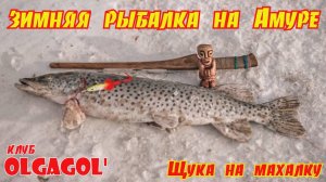 зимняя рыбалка на Амуре Щука на махалку