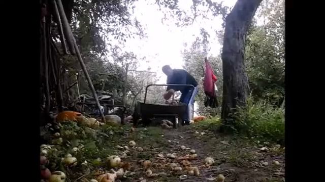 Возю буряки смотреть онлайн