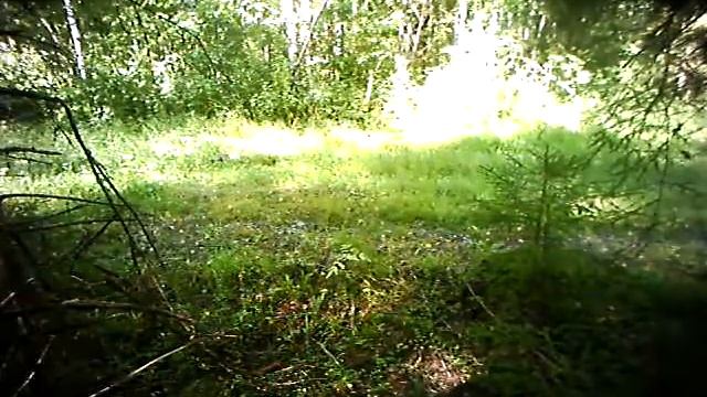 Глухарь смотреть онлайн