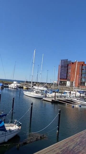 One of the best place when you visit Malmo, Sweden #shorts смотреть онлайн