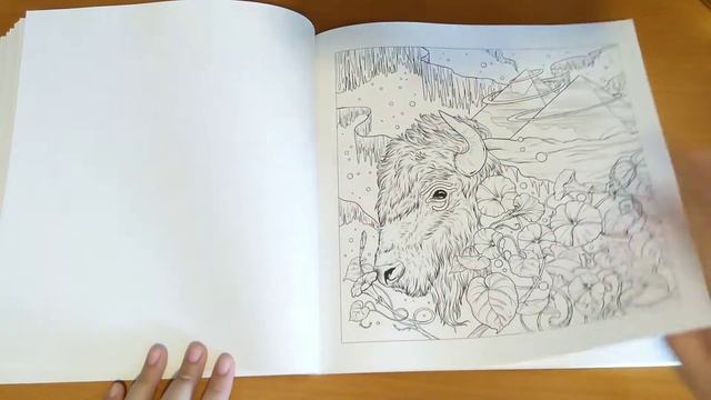 Mythographic: Menagerie by Fabiana Attanasio 💜 смотреть онлайн