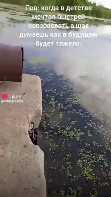 районный пракурор #мем #хочуврекомендации смотреть онлайн