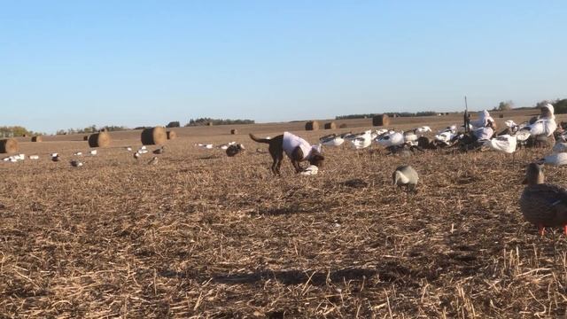2019 10 03 17 45 43 000 смотреть онлайн