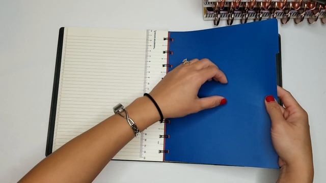 Planner Lineup 2020 | Personal Planner Setup смотреть онлайн