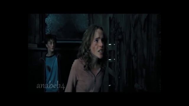 Remus Lupin (MusicVideo)