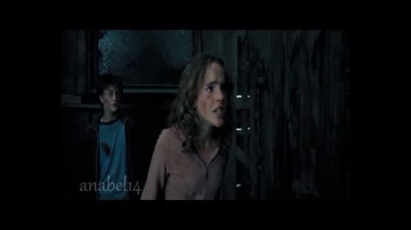 Remus Lupin (MusicVideo)