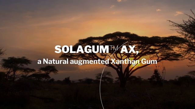 SOLAGUM™ AX, Smart Natural Polymer смотреть онлайн