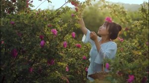 Красочная цветочная еда, незаметно откройте для себя разные способы есть розы.