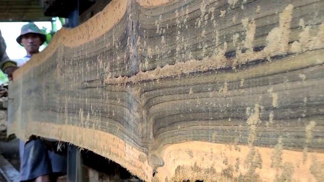 Mengubah kayu iblis jadi papan meja furniture kepercayaan negara amerika di sawmill смотреть онлайн