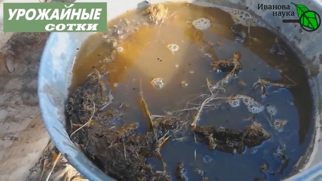 Индийский секрет от Ивана Русских смотреть онлайн
