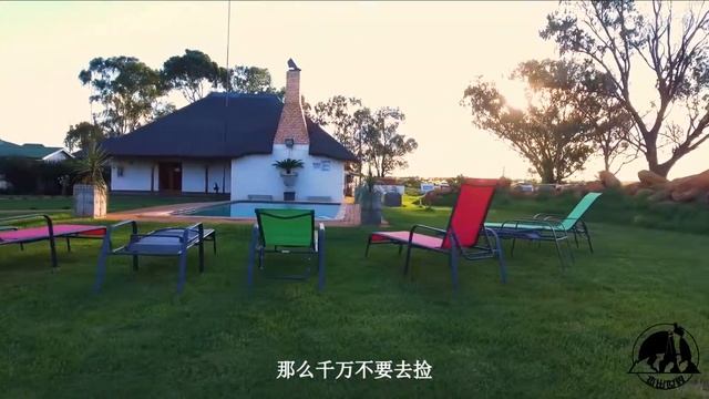 南非产地“最多”的就是玉石，但游客见到这种“玉石”，不要捡！ смотреть онлайн