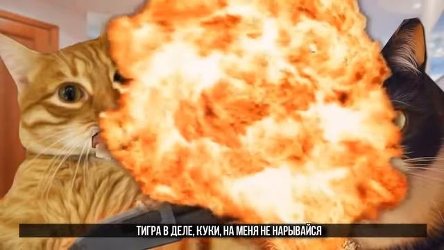 Куки VS Тигры Рэп БИТВА смотреть онлайн