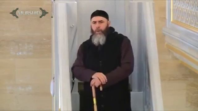 Муфтий чечни смотреть онлайн
