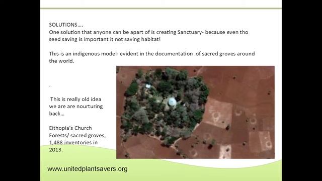 Susan Leopold:  Medicinal Plant Conservation:  Sanctuaries, Outreach And Forest Farming