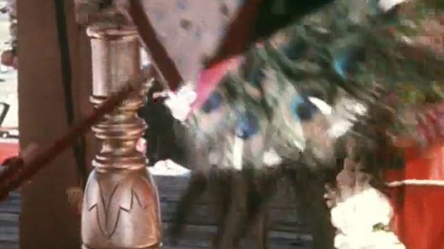 По стопам Шрилы Прабхупады - DVD1