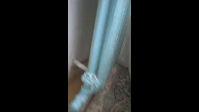 Кошечка по кличке Акжар смотреть онлайн