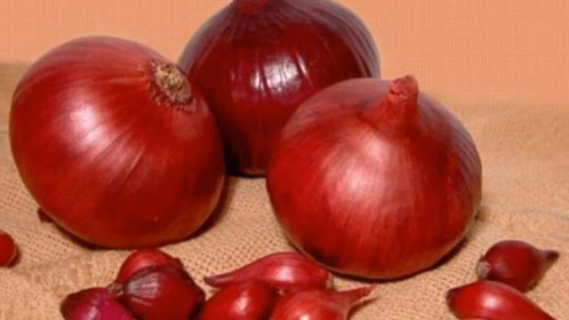 Ибн Синонинг Пиёзнинг Фойдалари Хакидаги Фикрлари !!! смотреть онлайн