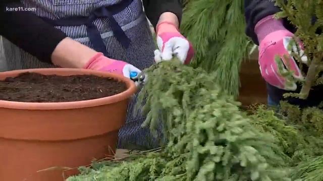 Grow with KARE-Spruce up your winter pots! смотреть онлайн