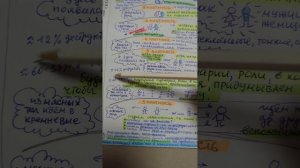 ДЕМИУРГИ (АРХАТ И МАГИРАНИ) И БЛИЗНЕЦОВЫЕ ПЛАМЕНА