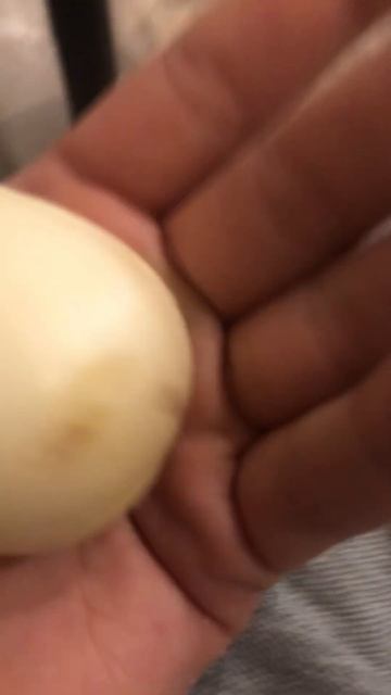 Самый большой чеснок в истории