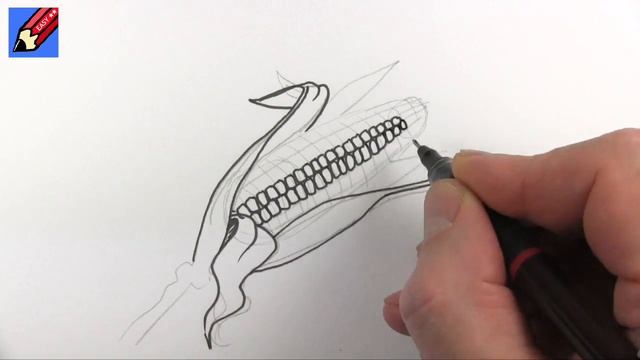 How to draw an Ear of Corn Real Easy - Easy Step by Step - Spoken Instructions