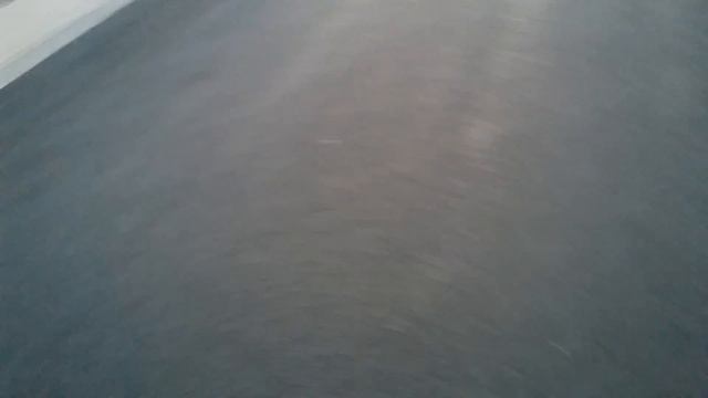 Aguila Colibri 22 ammo test into human flesh смотреть онлайн