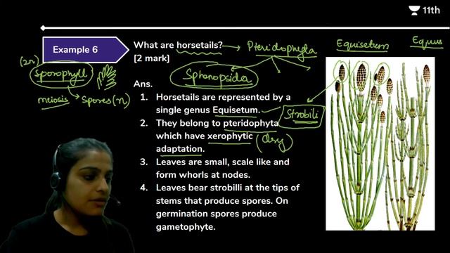 CBSE Class 11: Plant Kingdom | Tutorial Session 1 | Biology | Unacademy Class 11 & 12 | Simran Ma'a смотреть онлайн